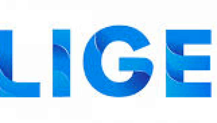 Field Sales Executive (IT Sales)