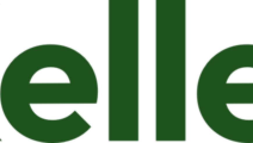 Supplier Performance & Development Specialist