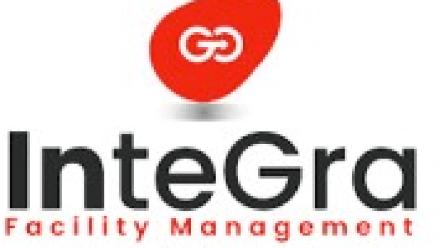 Transition Executive