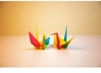 Back Office Operations (girls only)