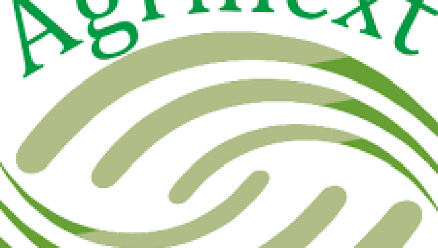 Senior Human Resources Manager